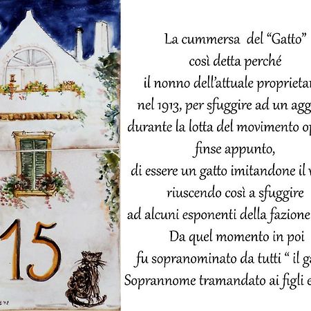 La Cummersa Del Gatto Locorotondo Exterior foto